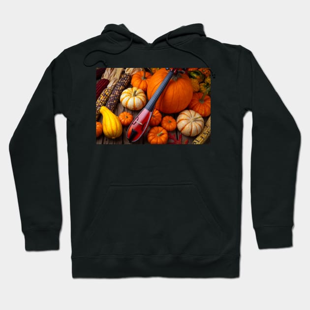 Pocket Violiv Among Autumn Harvest Hoodie by photogarry